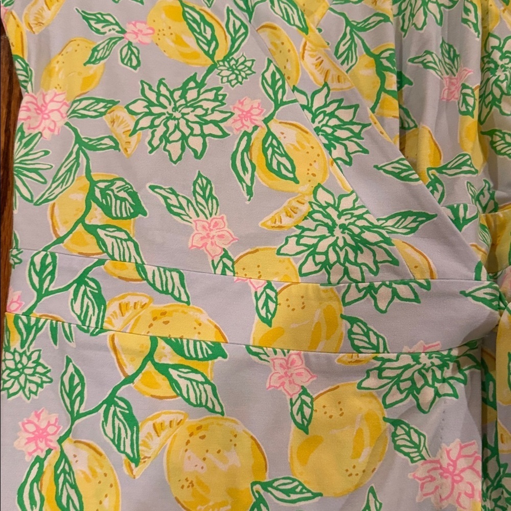 LILLY PULITZER sailynn short-sleeve romper in bluette make lemonade Large NWT - Picture 6 of 10